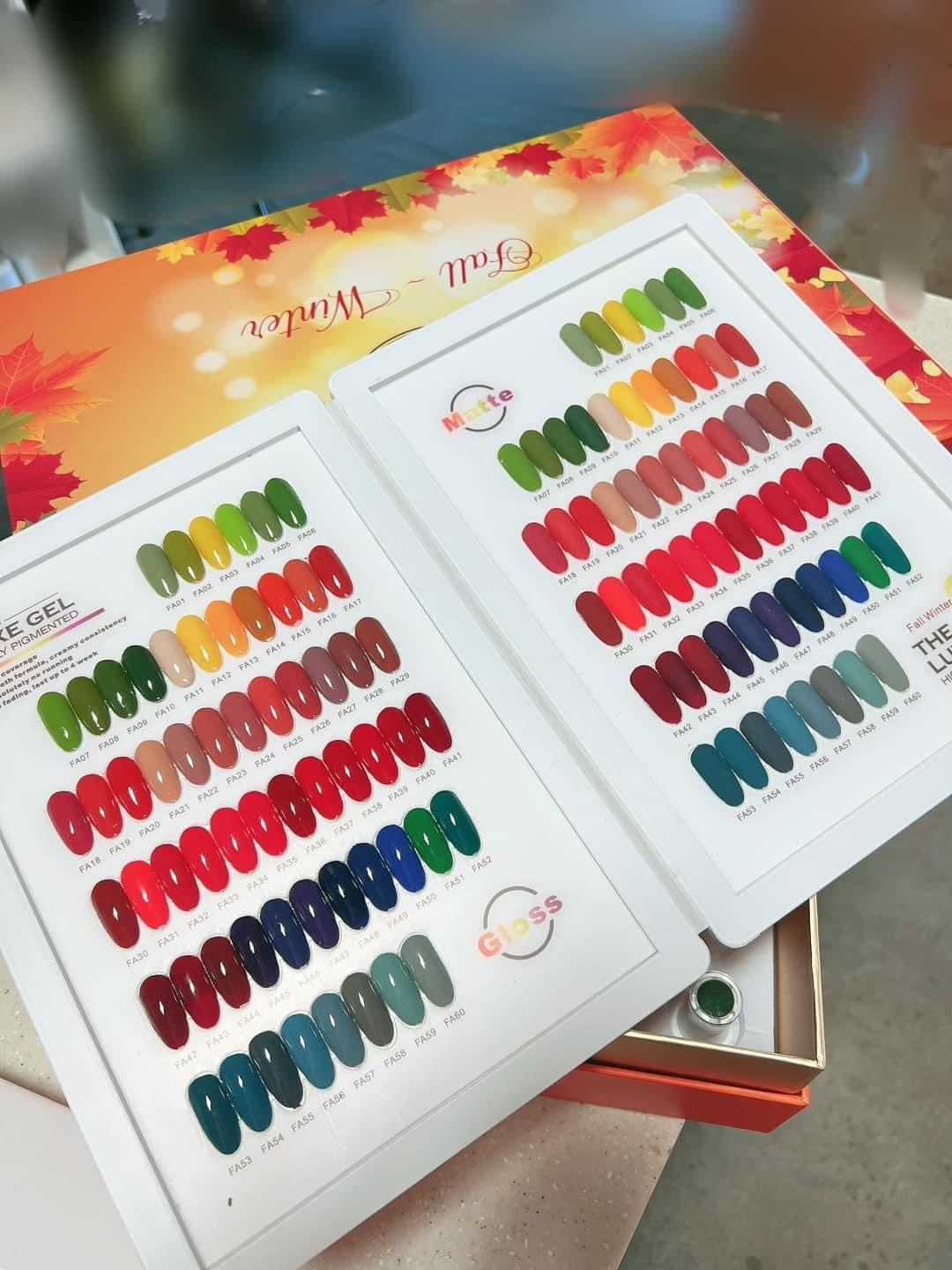 LUXE GEL FALL/WINTER 60 COLOR