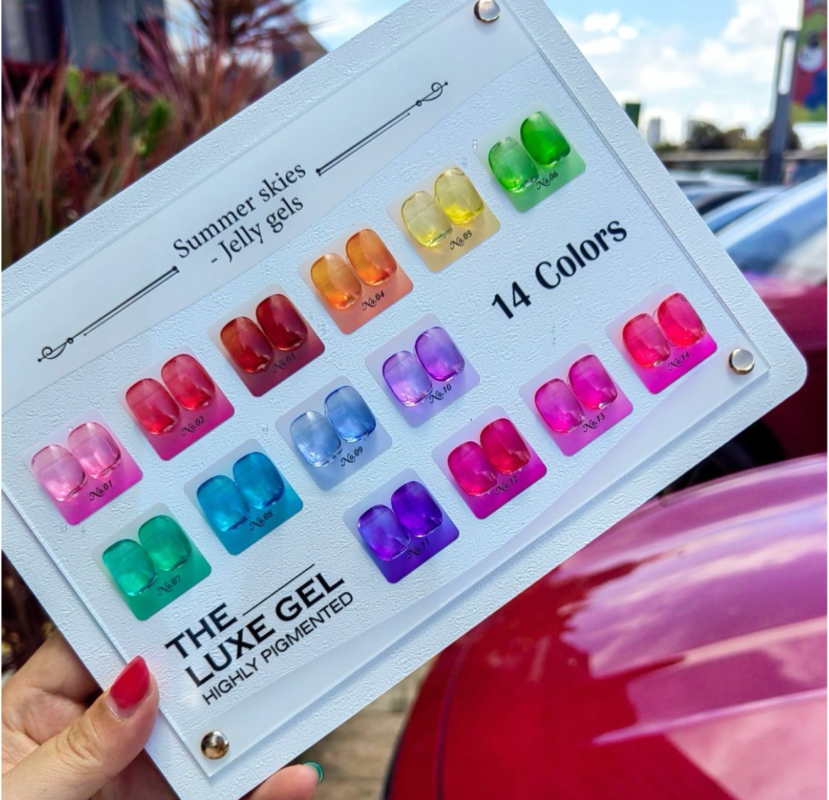 SUMMER NEON JELLY 14 COLOR